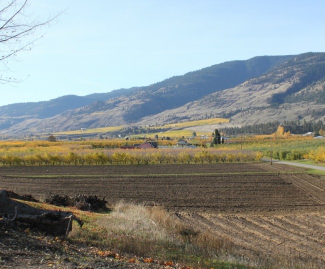 a view22