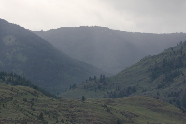 above testalinda22