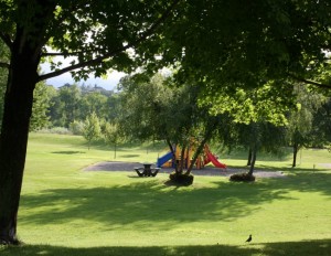 lions park