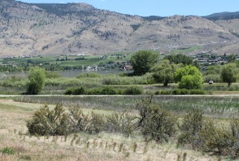 osoyoos three22