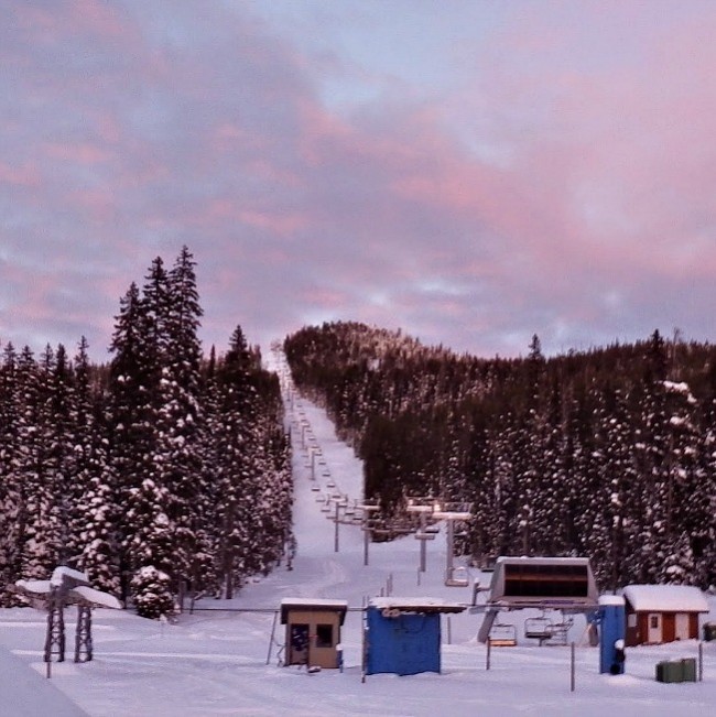 baldy no people22