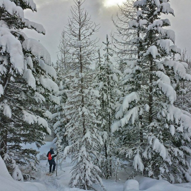 neil skiing