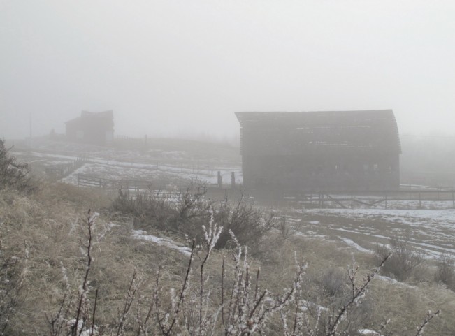 foggy memories chapman