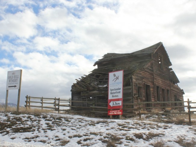 sign blight22