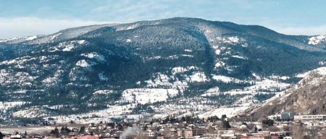 zoli view22