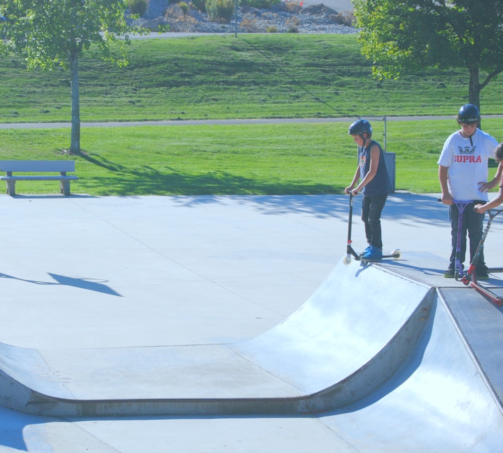 skate one22