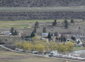 bulrush drive