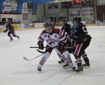 coyotes saturday
