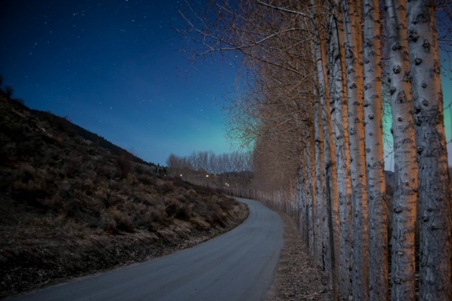 moonlight drive22