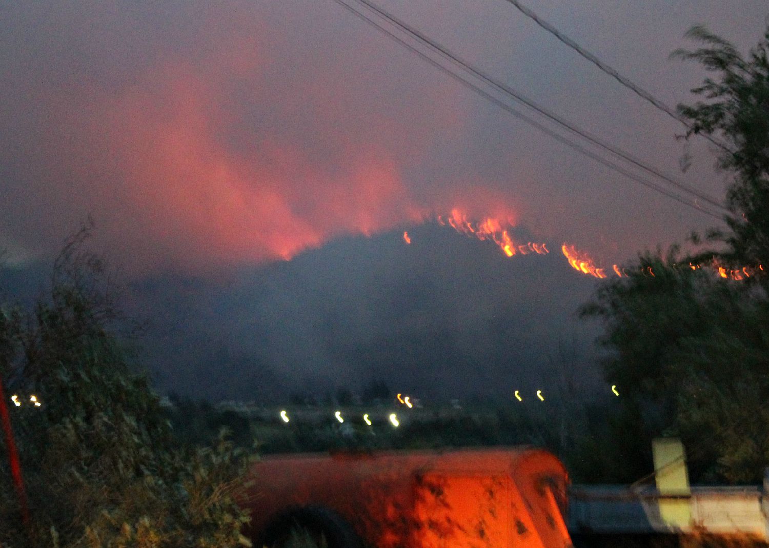 testalinda kobau22