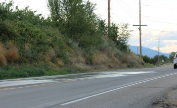 Orchardist sprinkles road and cars