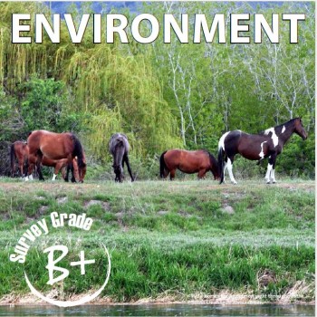 environment 3 things