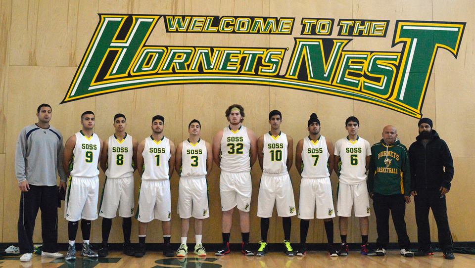 hornets pix