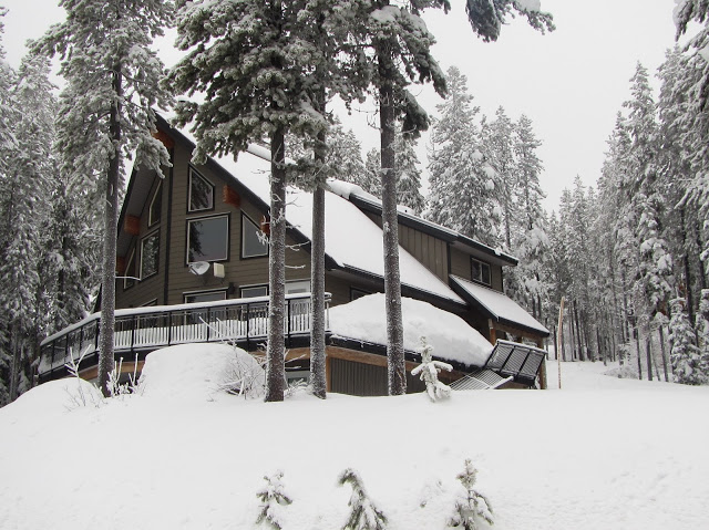 snow smith
