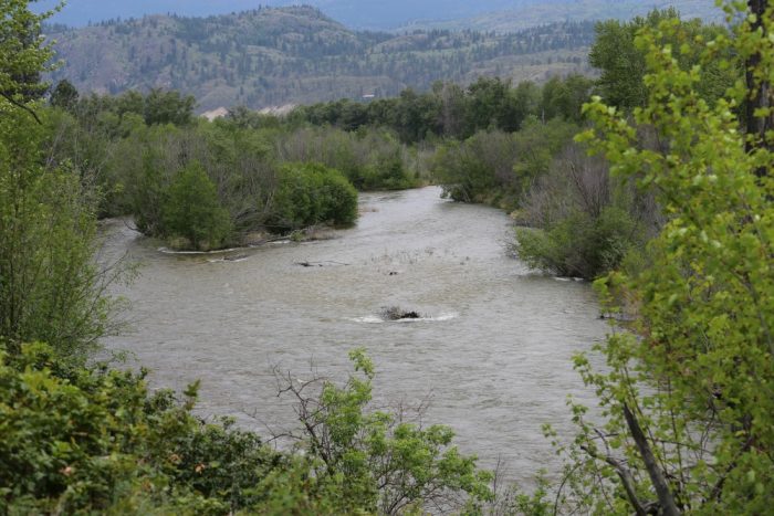 All feeding the mighty Okanagan River
