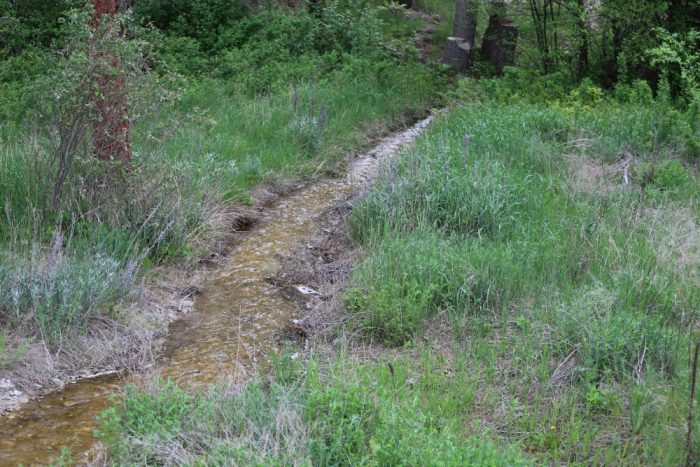 Park Rill Creek