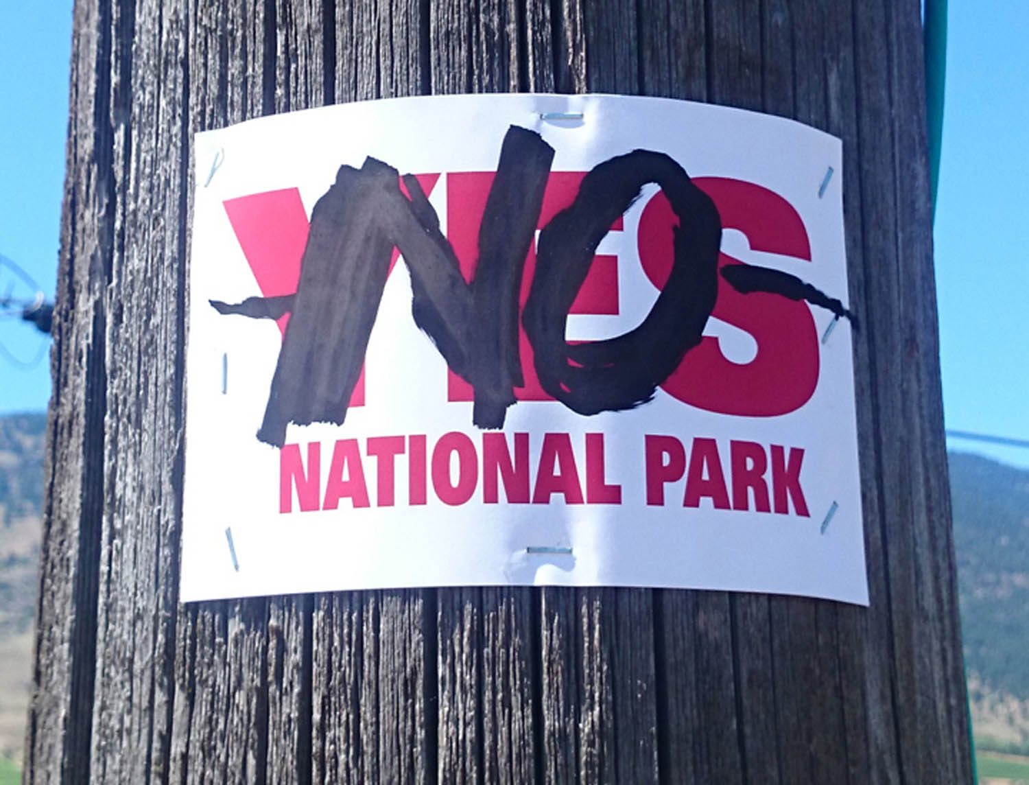 no yes