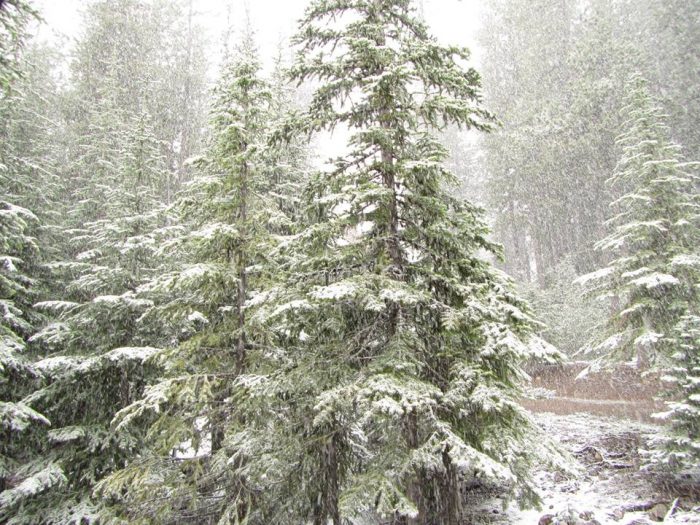 Mt Baldy this week Sam Smith reports