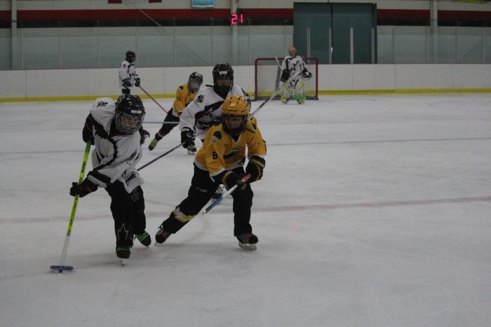 ringette1