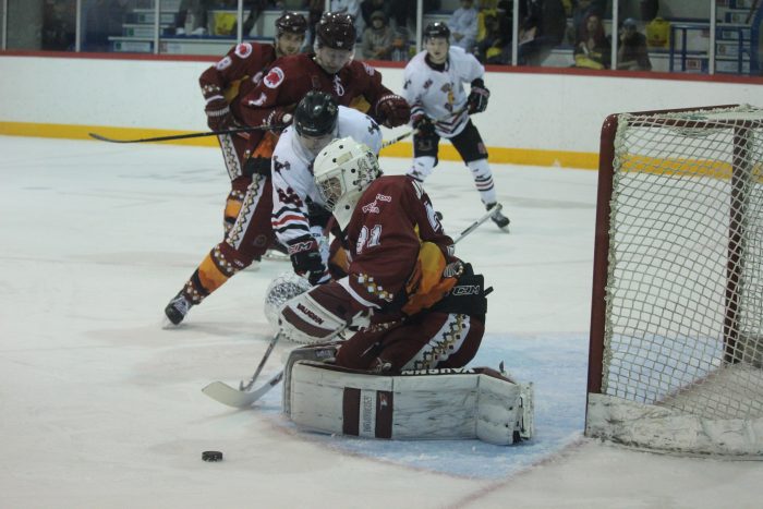 coyotes kelowna4