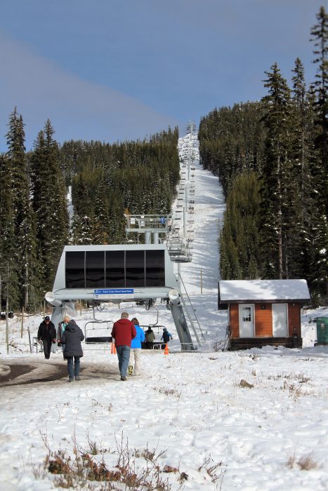 baldy5