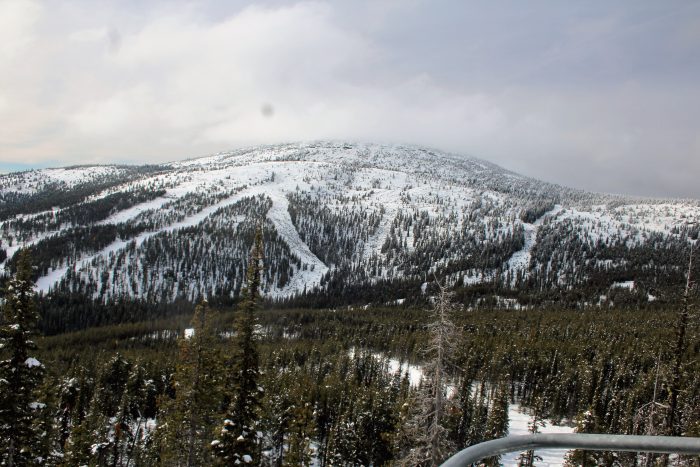baldy7