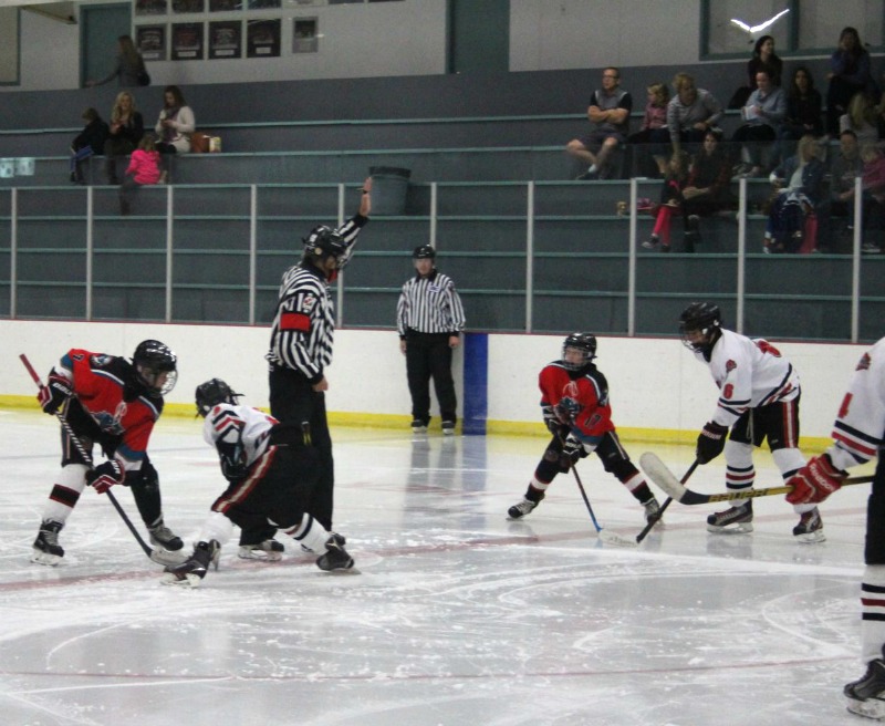 Dropping the puck on another hockey season