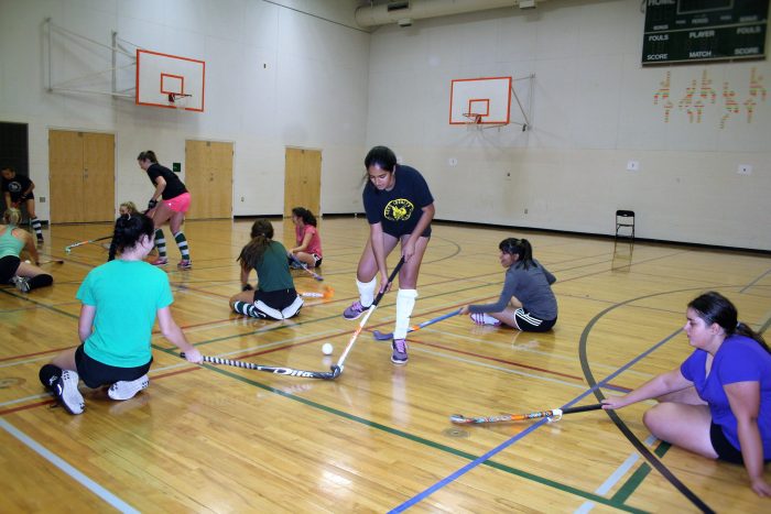 field-hockey3