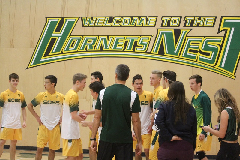 hornets-vball