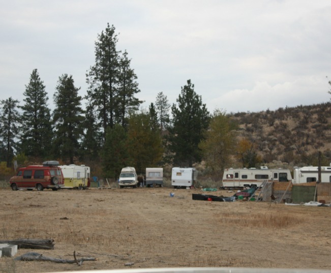 Cactus Creek Campsite