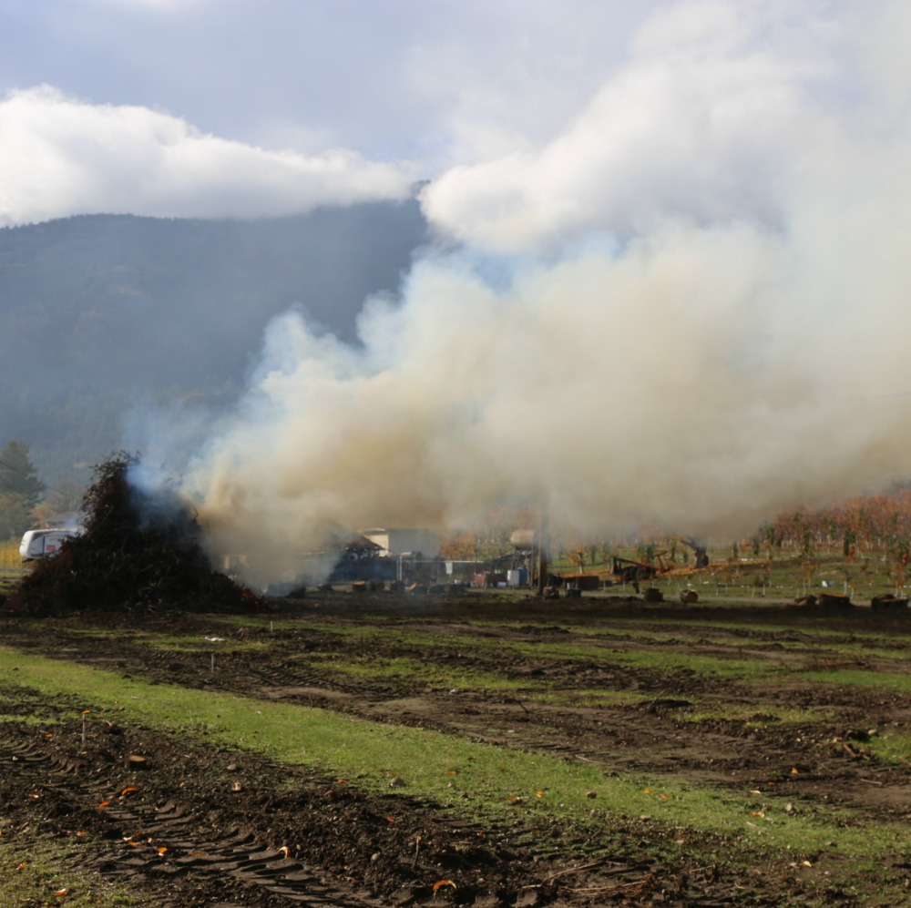 Smoke - gas into the air. In this day and age is it necessary?